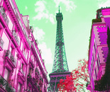 Paris Eiffel Tower from the Street