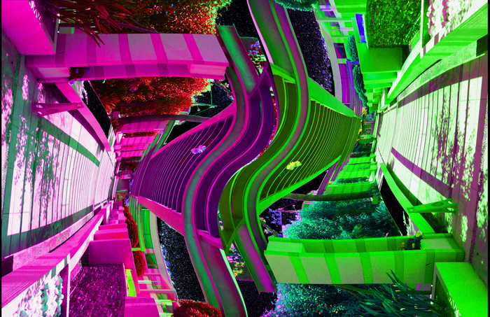 Walkways Toward the Future