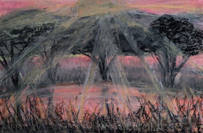 Light, interrupted  by Laura Bernardeschi Nelson 