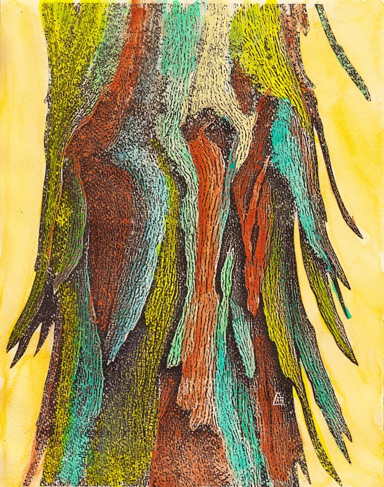 TREE BARK 2