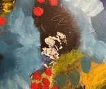 My black and yellow cats