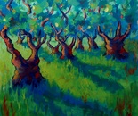 Olive Grove