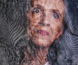 Crystallization of Presence ​.A Portrait Inscribed in Salt and Wood