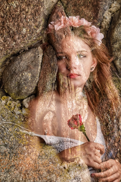 Reborn in Stone: The Pulse of Nature 2026
