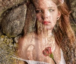 Reborn in Stone: The Pulse of Nature 2026