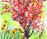 Spring Explosion 