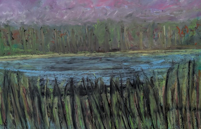 Northern WEtland by Laura Bernardeschi Nelson 