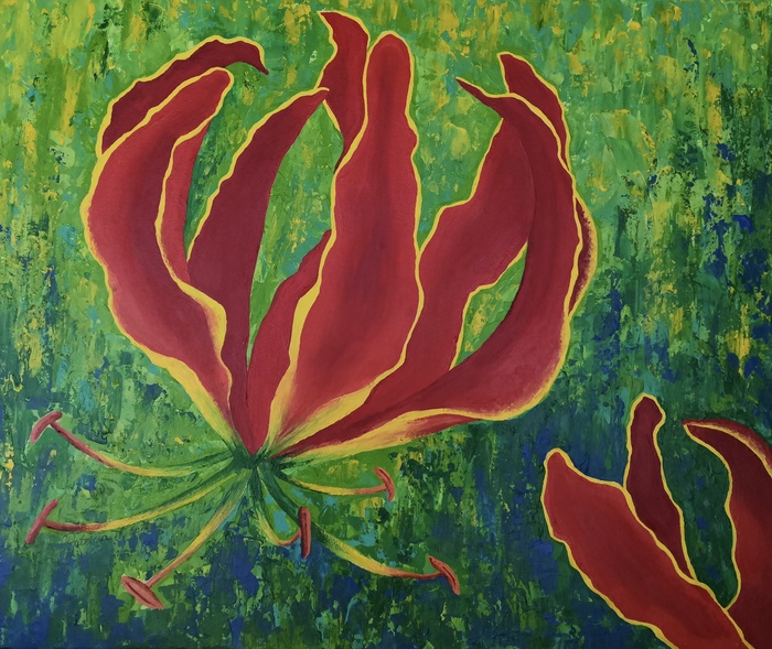 Zimbabwe Flame Lily