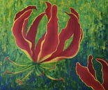 Zimbabwe Flame Lily