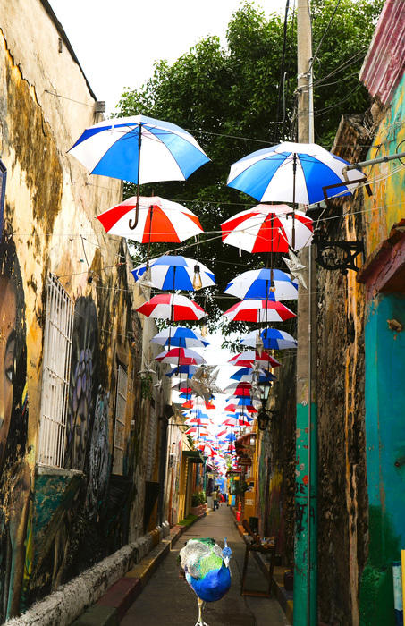 Umbrella Alley Peacock