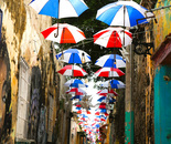 Umbrella Alley Peacock