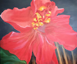 "La guerra impide ver una flor"