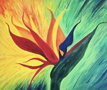 Bird of Paradise