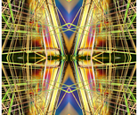 The Lines