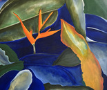 "Libre vuelo"