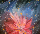 Birth in Bloom