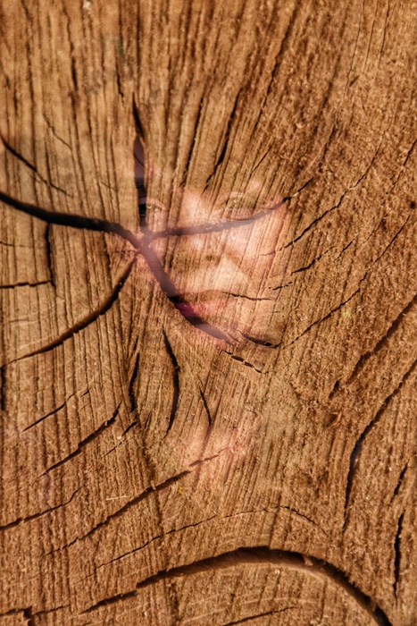 Imprinted in Wood: A Testimony of Endurance 3026