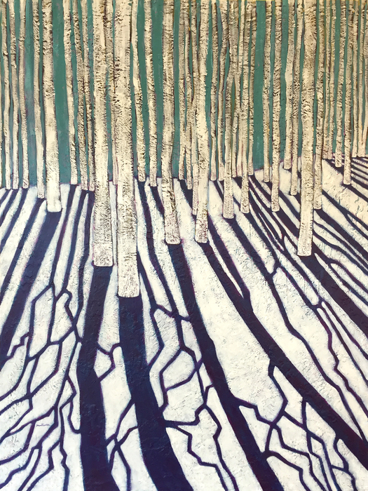 Aspen Shadows on Snow