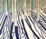 Aspen Shadows on Snow