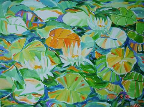 Water Lilies