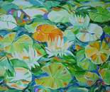 Water Lilies