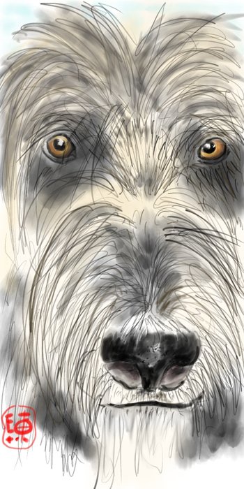 Wolfhound memory