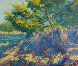 Tree and the Rock