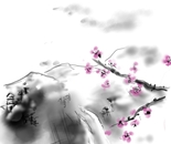 SPRING BEGINS