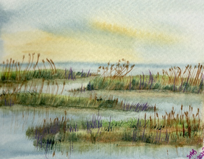 Marsh