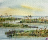 Marsh