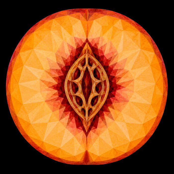 Food Geometrics