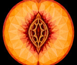 Food Geometrics