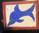 Blue dolphin