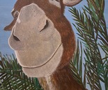 Asinello sorridente