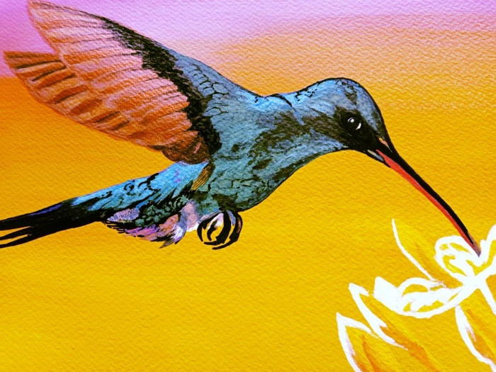 Trinidad - Home of the Humming Bird 