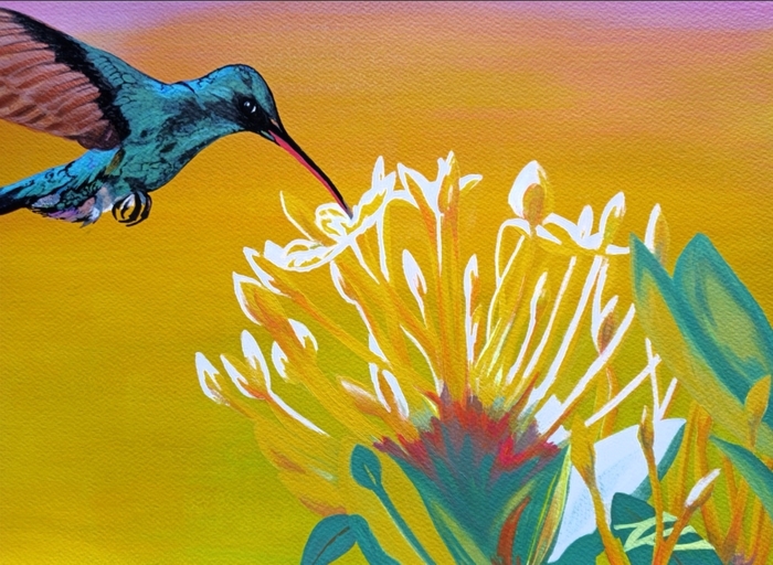 Trinidad - Home of the Humming Bird