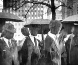 The Business Crowd