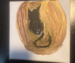 Cat in the sun