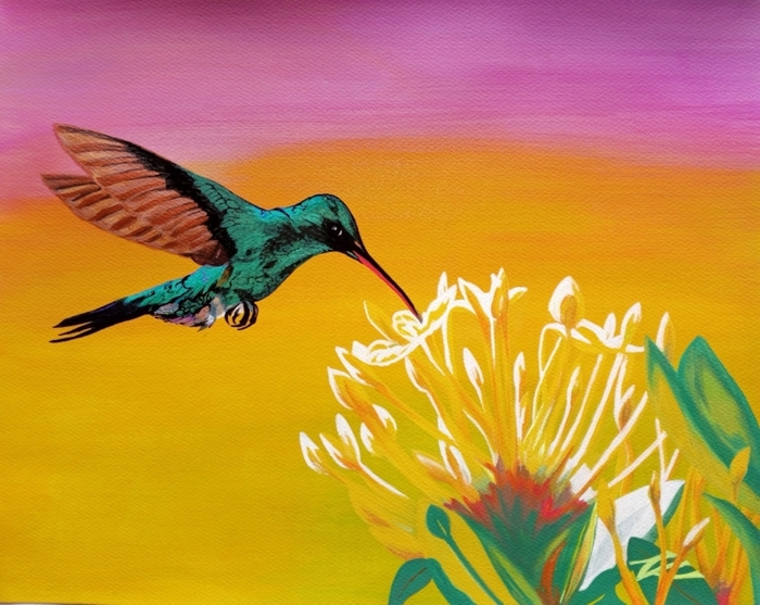 Trinidad - Home of the Humming Bird