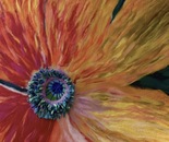 The Bloom