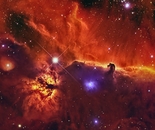 Horsehead & Flame Nebulae - Charging Through the Night Sky!