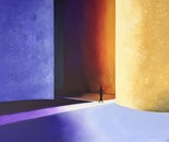 The Labyrinth of Life 