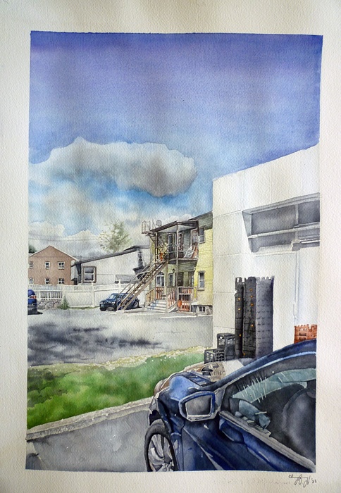 Norwalk View