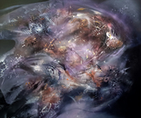 The Memory of a Star Before It Was Born