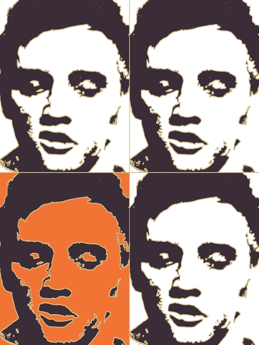 Elvis still lives in my pop art