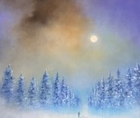 The Night hides the Light