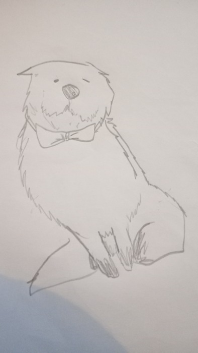 Bond