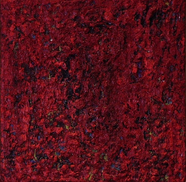 My piece of a Poppy field