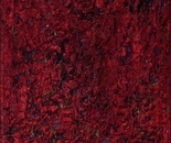 My piece of a Poppy field