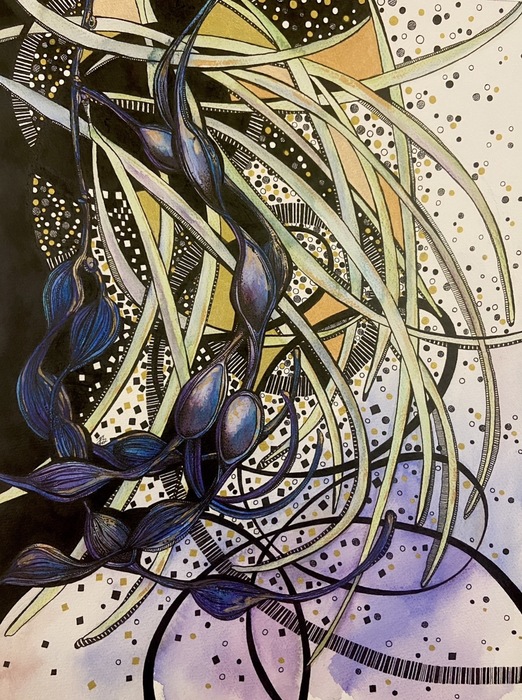 Pilbara Seed Pods at Twilight. 